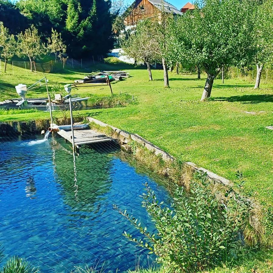 Ferienwohnung Schaller Feistritz an der Drau Exterior foto