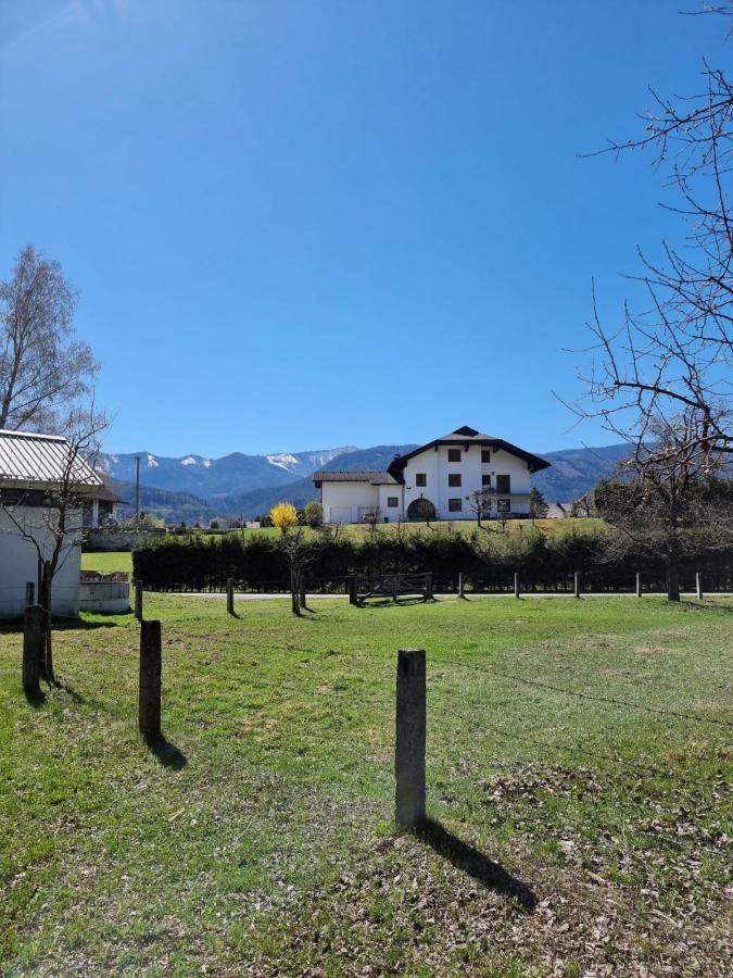Ferienwohnung Schaller Feistritz an der Drau Exterior foto